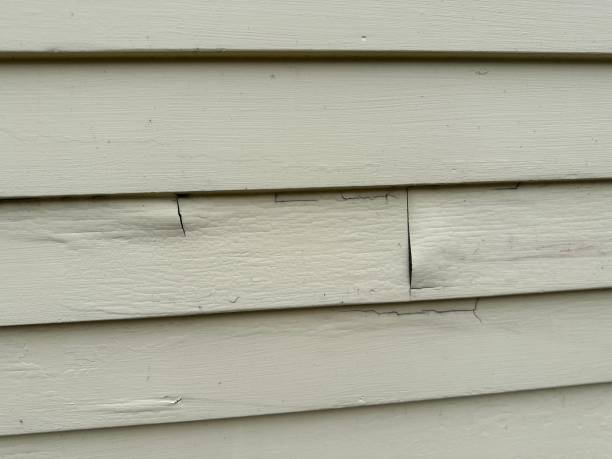 Best Vinyl Siding Installation  in Biggs, CA